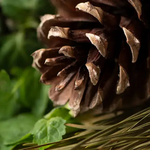 Sugar Pine & Patchouli Soy Candle