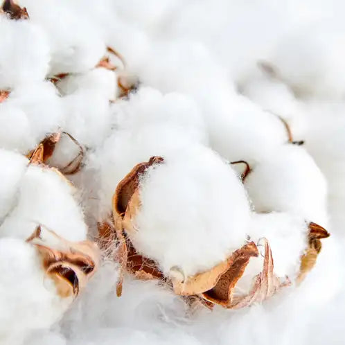 Clean Cotton Soy Candle