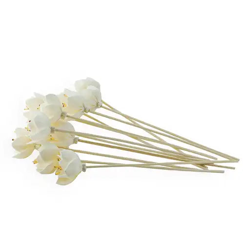 Diffuser Reeds